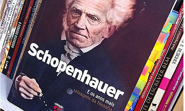 Schopenhauer e os anos mais selvagens da filosofia