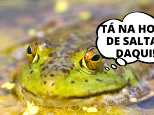 A Síndrome do Sapo Fervido