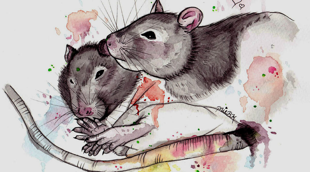 Sonho dos Ratos - Rubem Alves