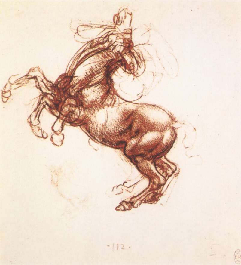 Um cavalo visto de frente, c1480 1945 | Leonardo da Vinci