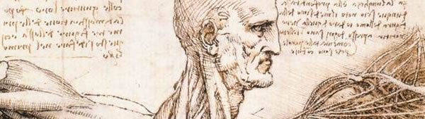 Estudo anatômico do ombro - Leonardo da Vinci