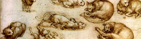 Folha de estudo com gatos, dragões e outros animais