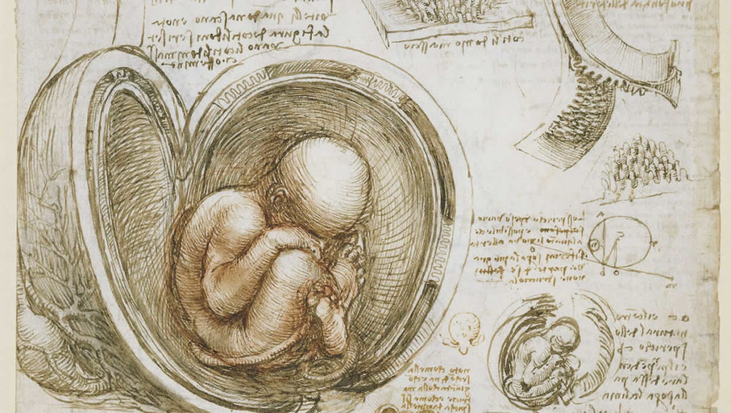 Leonardo da Vinci - Embrião dentro do útero