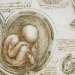 Leonardo da Vinci - Embrião dentro do útero