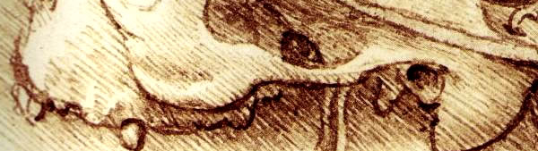 Crânio / Caveira - Leonardo da Vinci