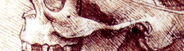 Crânio / Caveira - Leonardo da Vinci