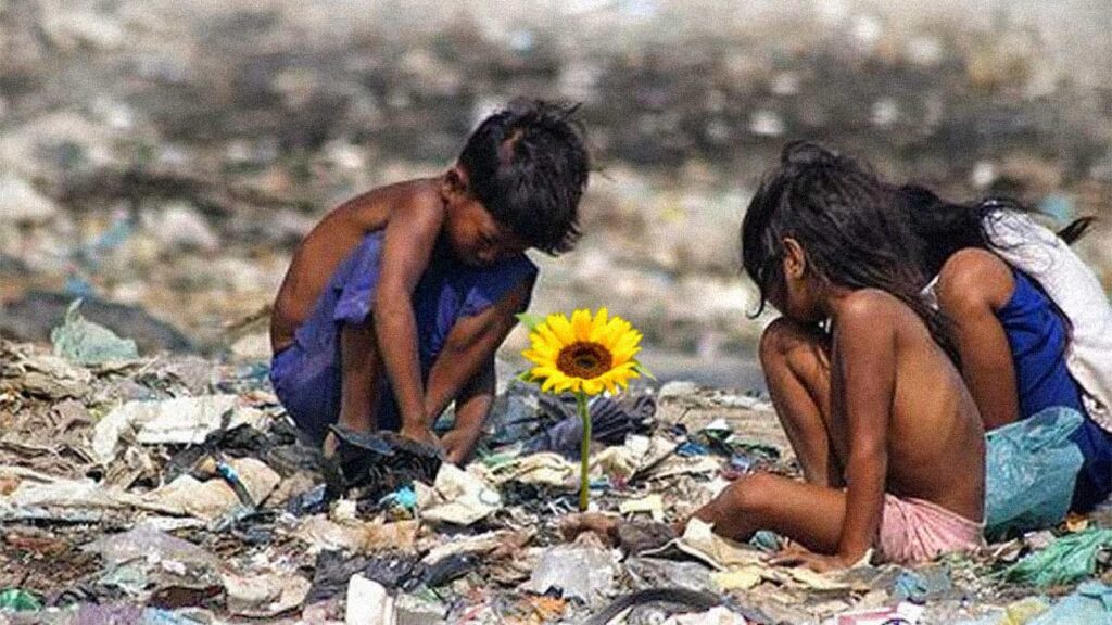 Ilha das Flores - curta metragem