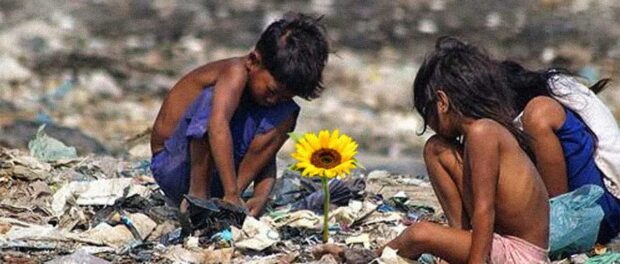 Ilha das Flores - curta metragem