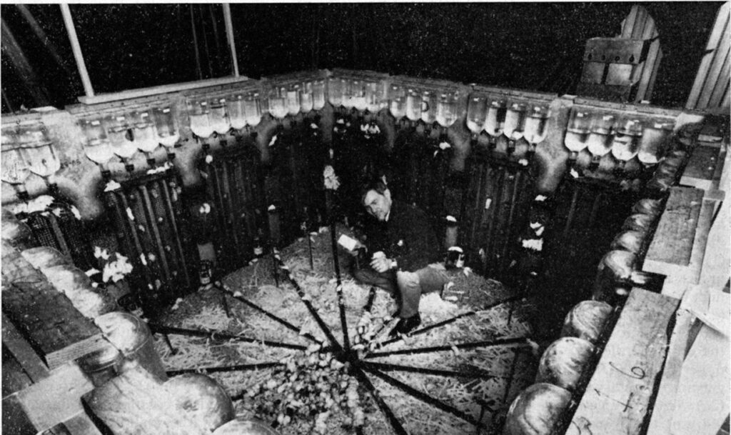 Utopia dos Ratos - Universo 25