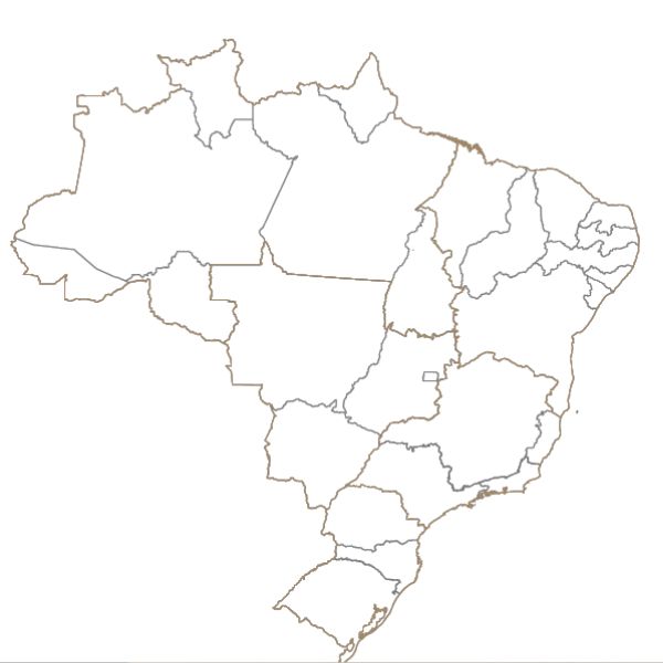 Mapa do Brasil sem Legendas para colorir