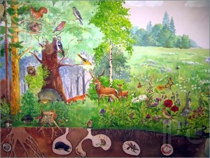Forest-Animals-1611525 Espinosa, spinoza, natureza, substância